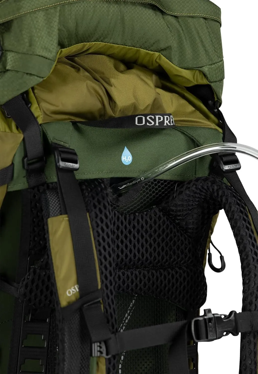 Osprey Atmos AG LT 50L Men's Backpacking Backpack, Scenic Valley/Green Peppercorn, S/M