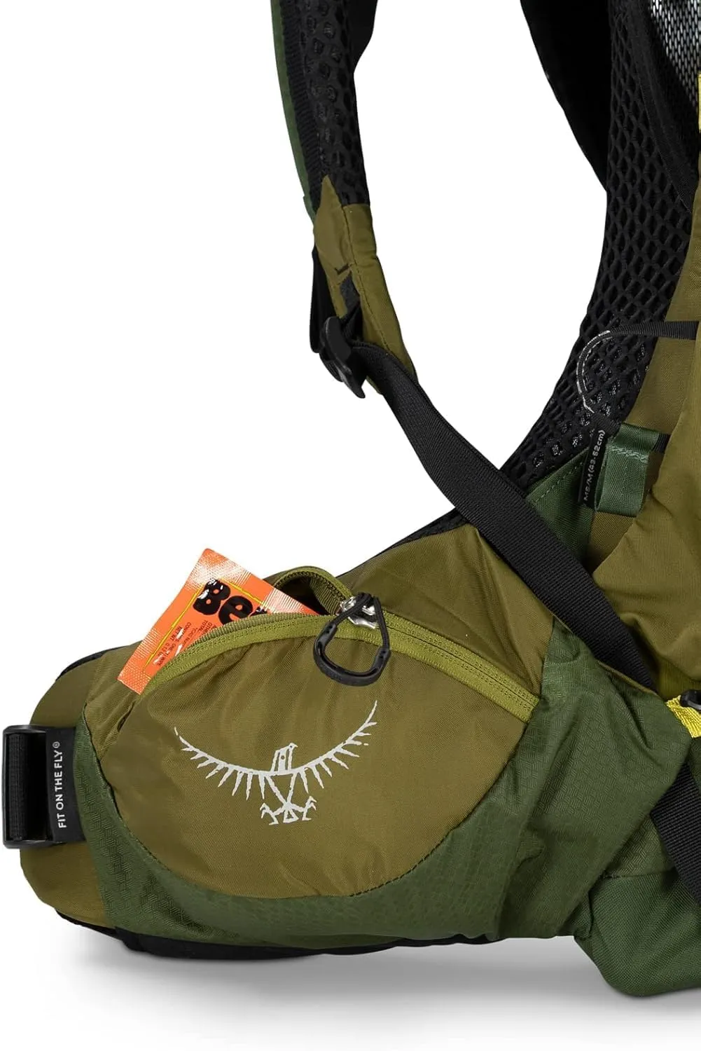 Osprey Atmos AG LT 50L Men's Backpacking Backpack, Scenic Valley/Green Peppercorn, S/M