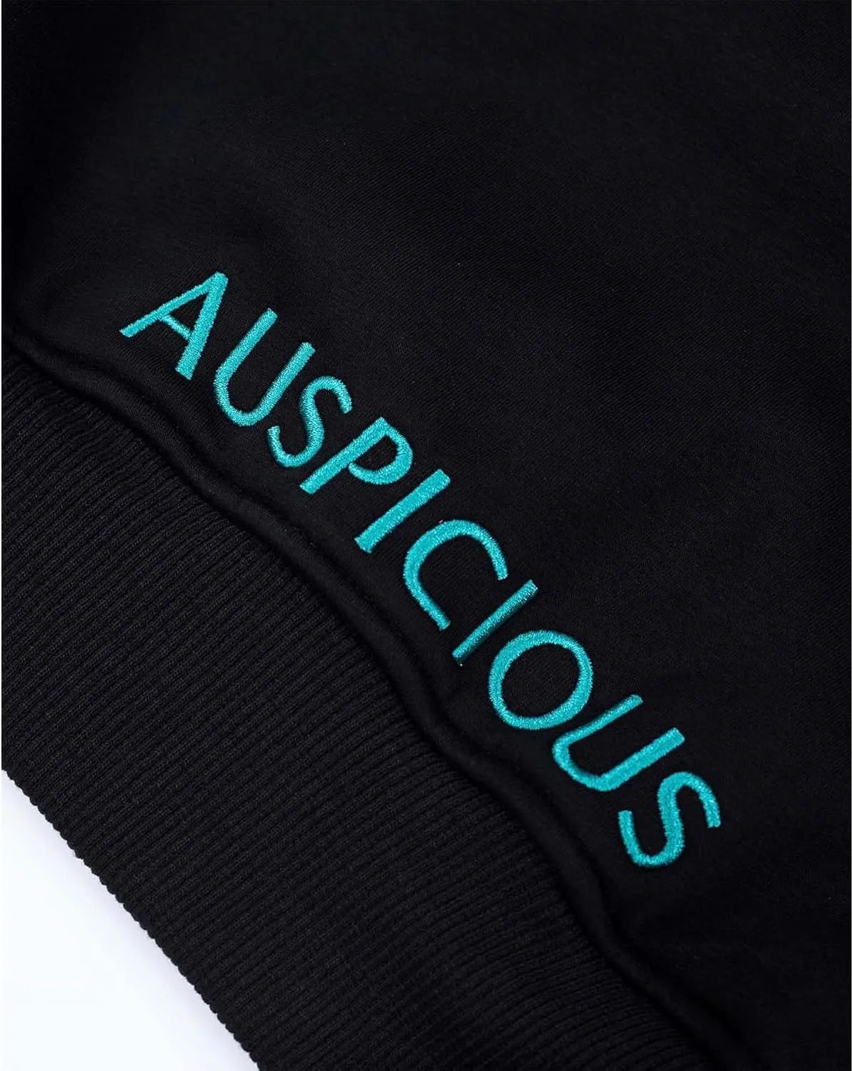 Seidarise Men's Dragon Embroidered Heavyweight Graphic Hoodies Streetwear